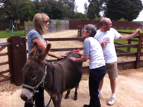Donkey Sanctuary Visit