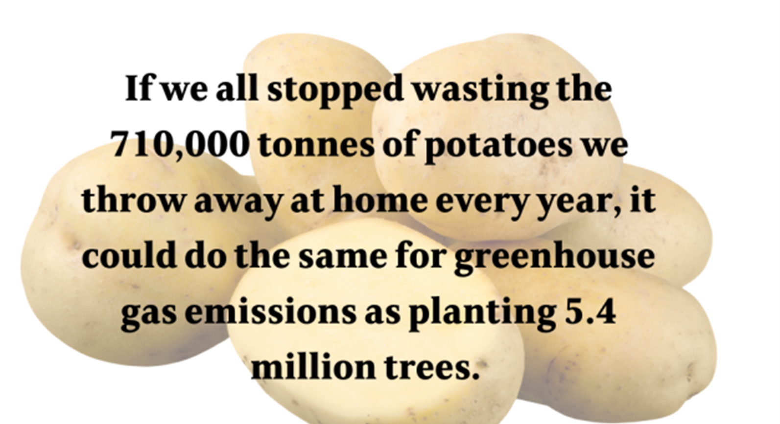 Infographic about the impact of wasting potatoes