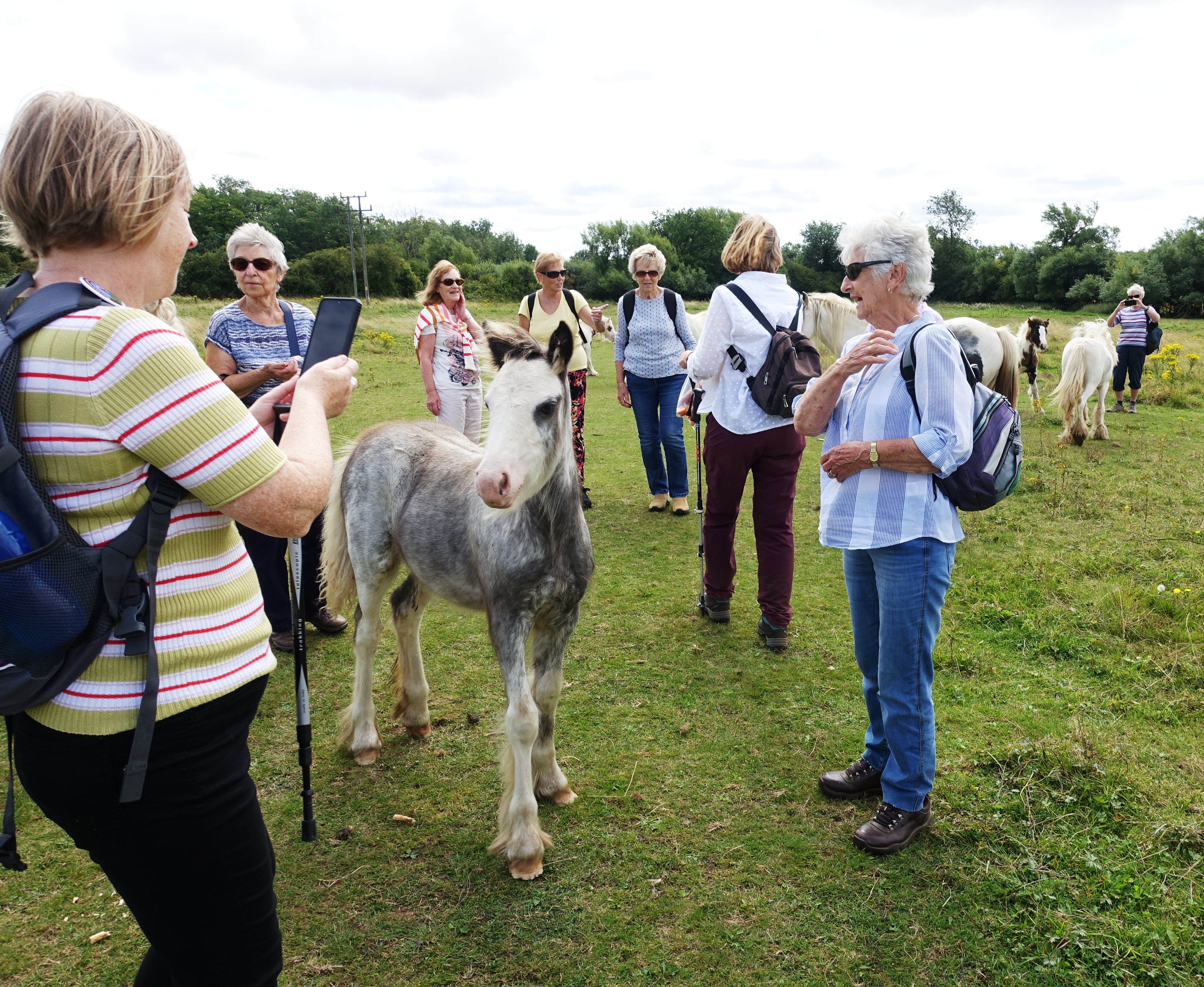 21.08 Isham walk with horses