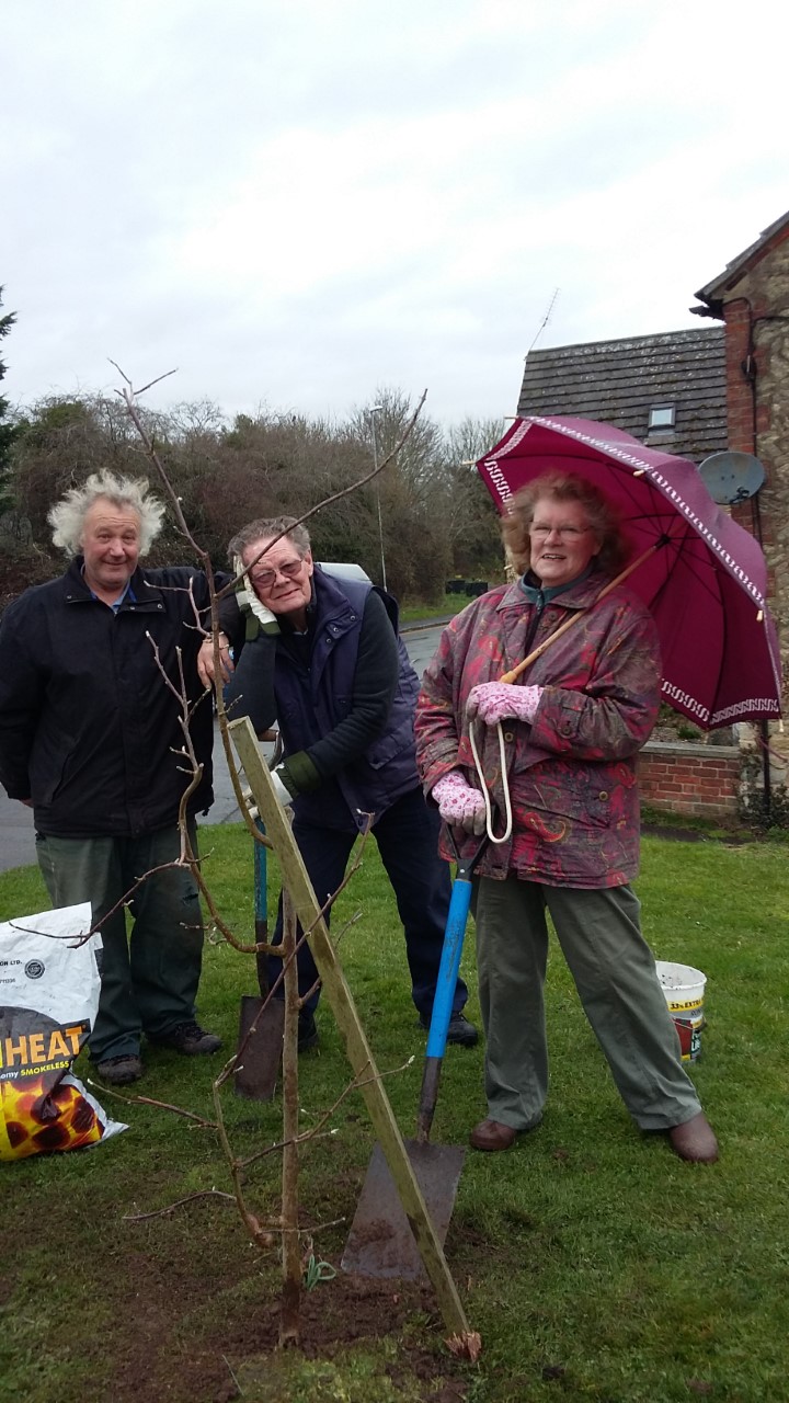 22.03 Planting tree in the rain 22.03 Planting tree in rain