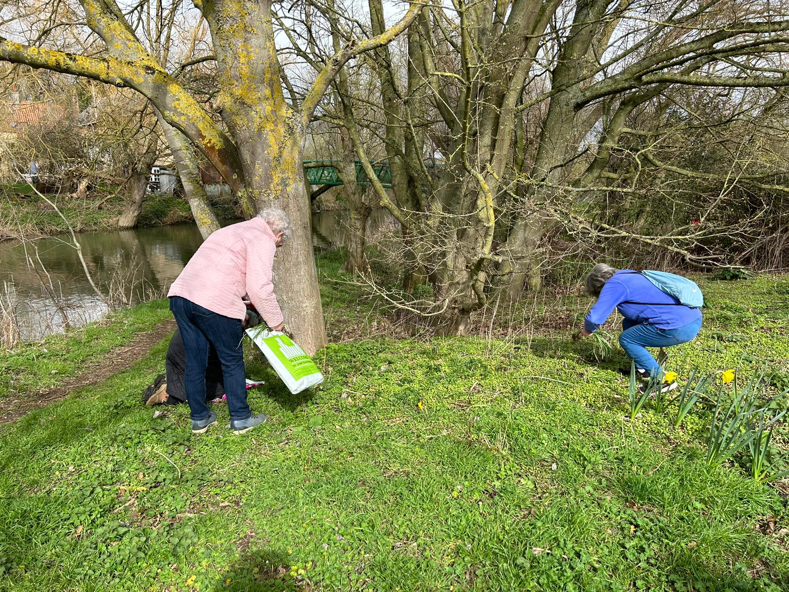 23.04 Two members planting snowdrops