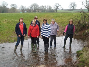 Walkers in stream