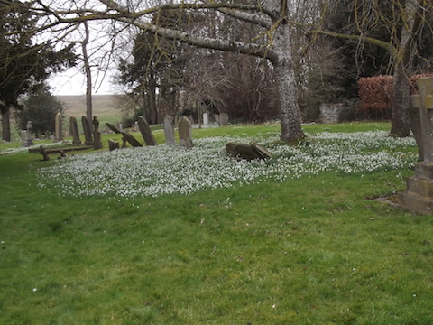 Pavenham Churchyard