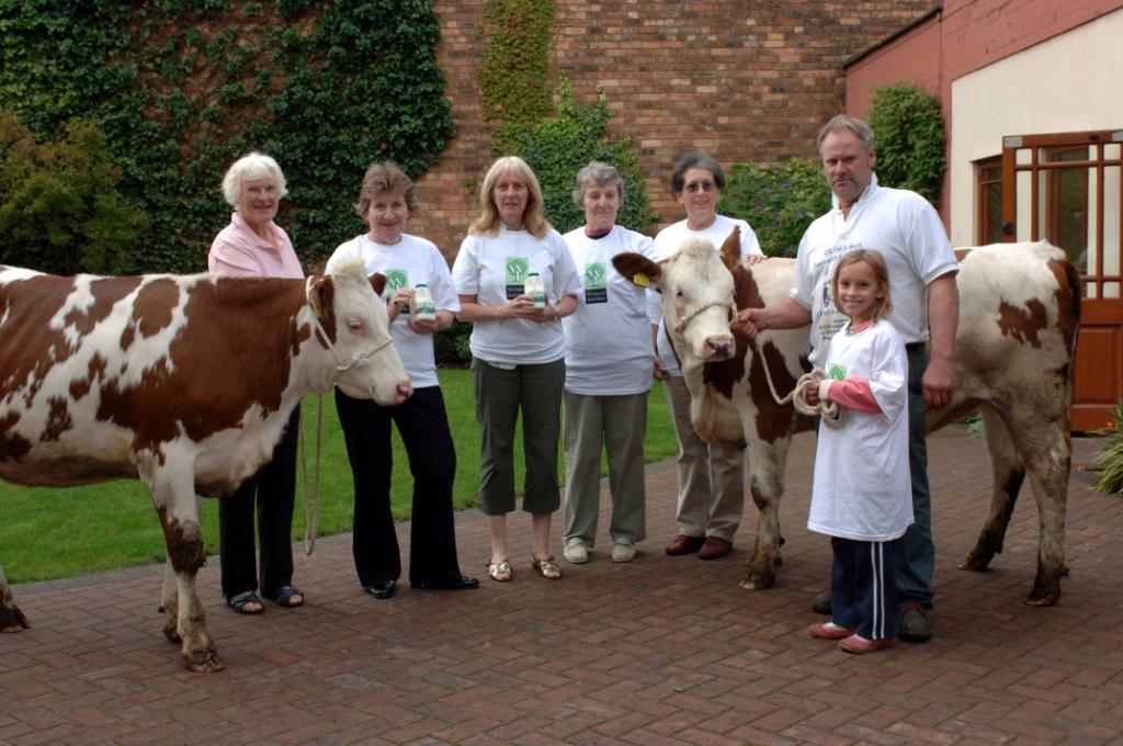 A group of older and younger people standing next to two cows on a farm