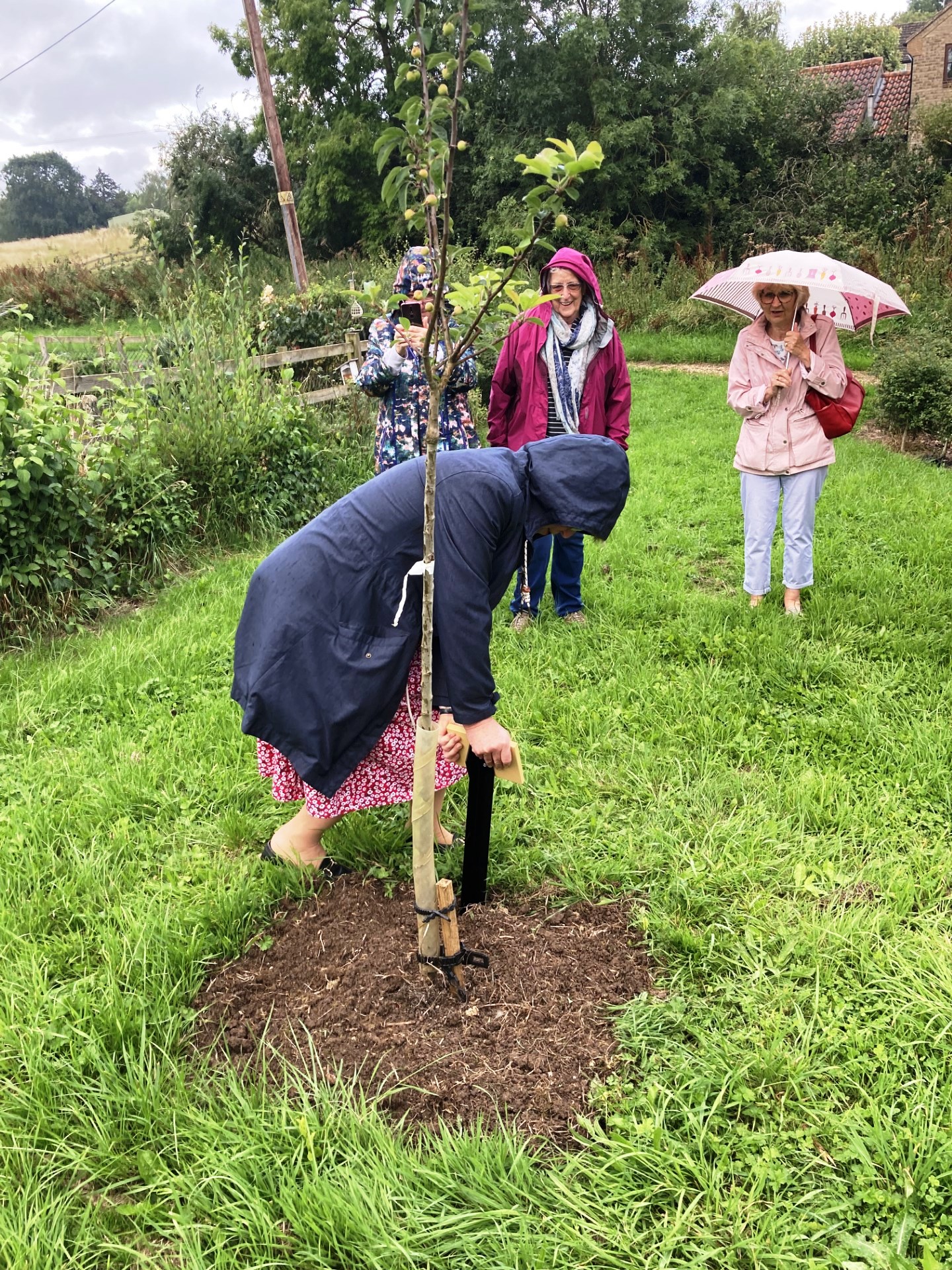 23.08 President planting tree to commemorate 50th anniversary