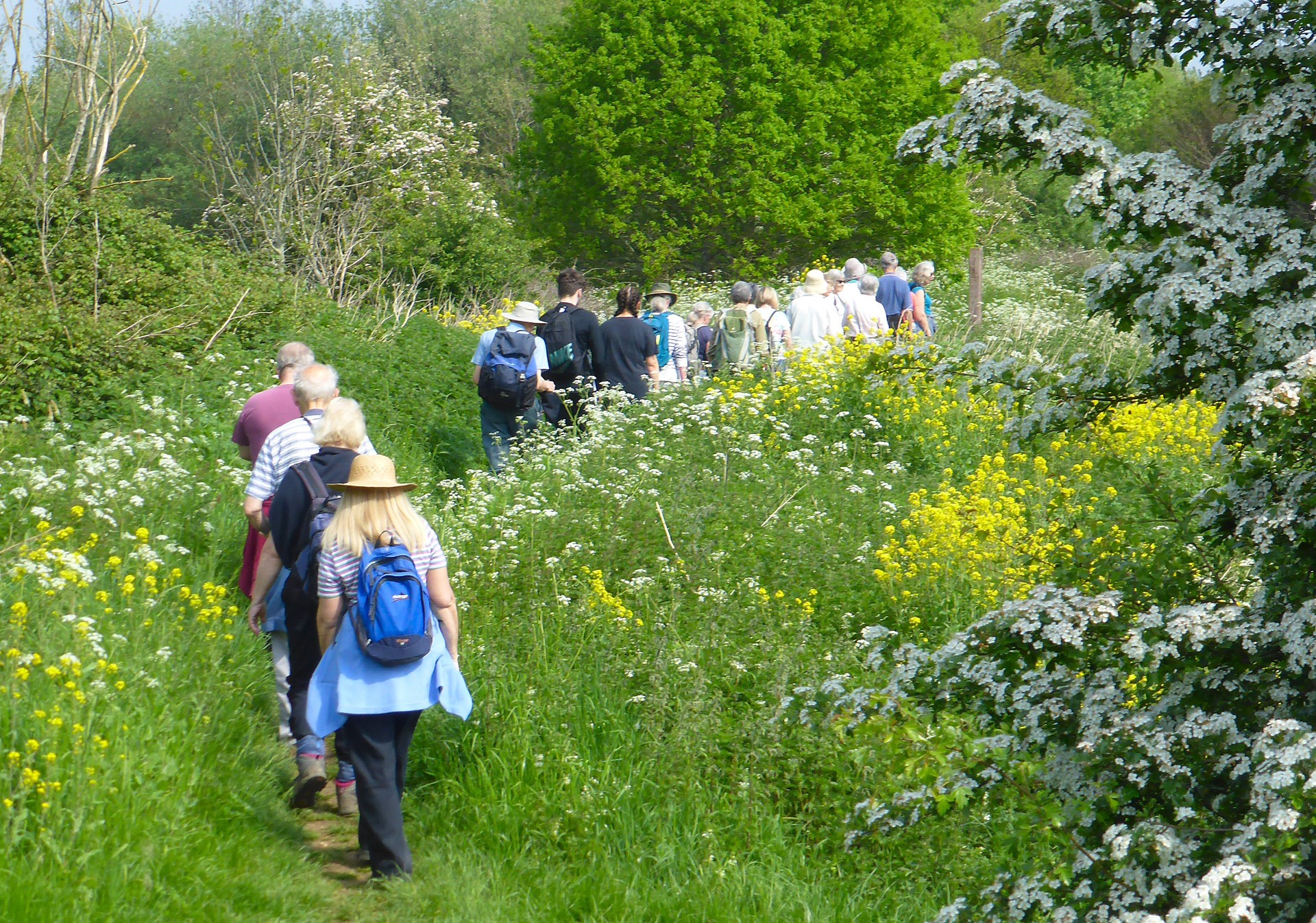 24.05 Rushden Lakes greenery