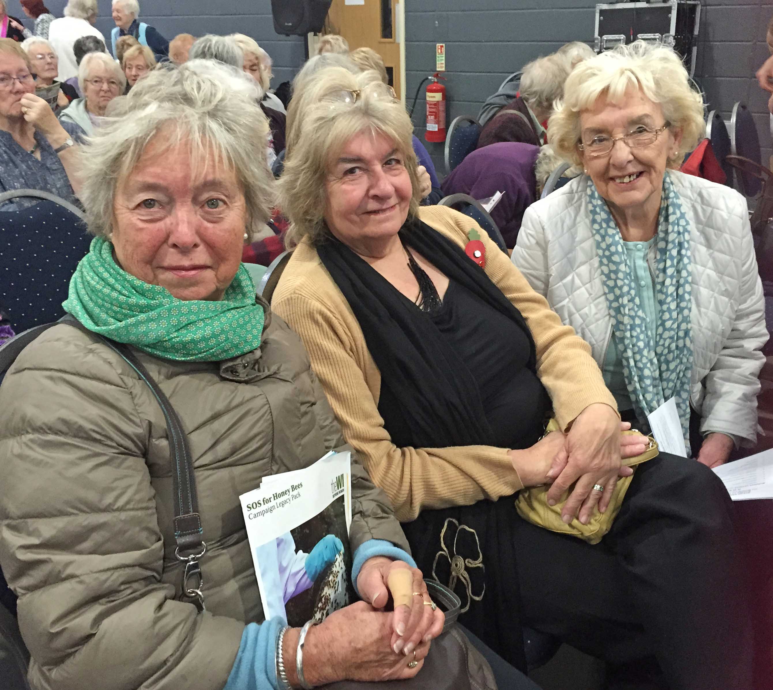 2015-11-01 Somerset AGM.jpg