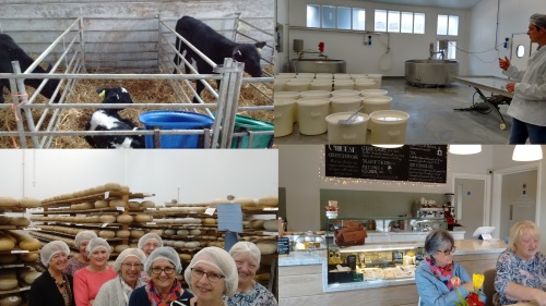 Cheese Making Visit