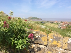 View of Brean Down