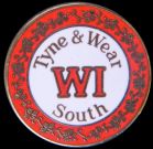 Tyne and Wear South Federation badge