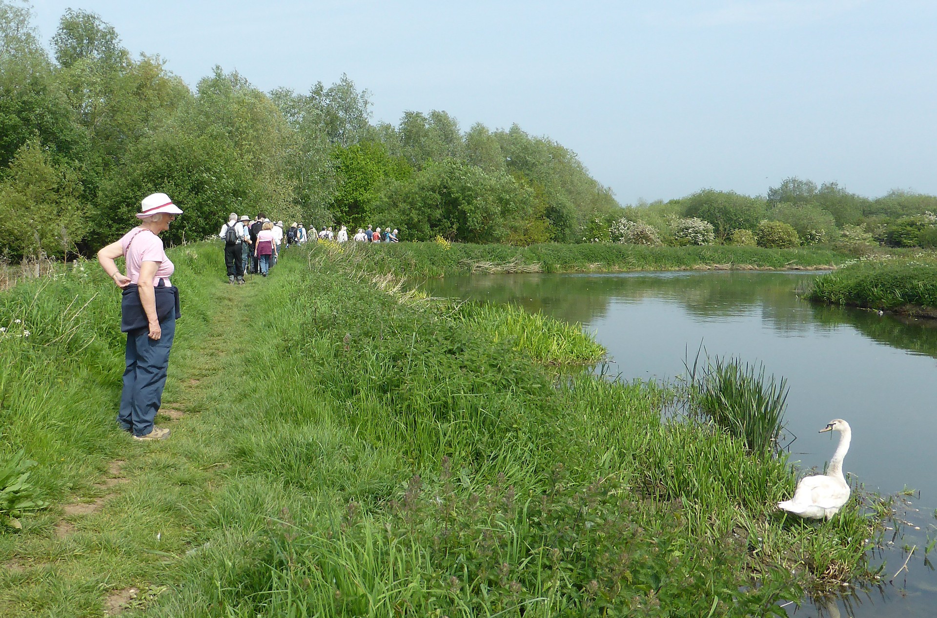 24.05 Rushden Lakes and a swan