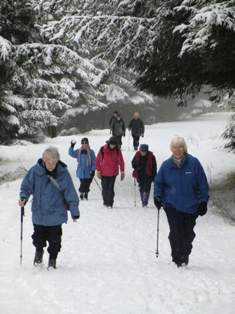 Walking in the snow