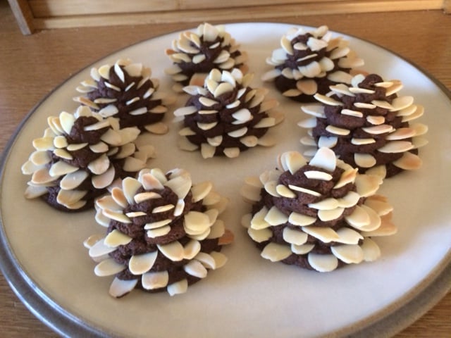 Festive Cookies from recipe in WI Life