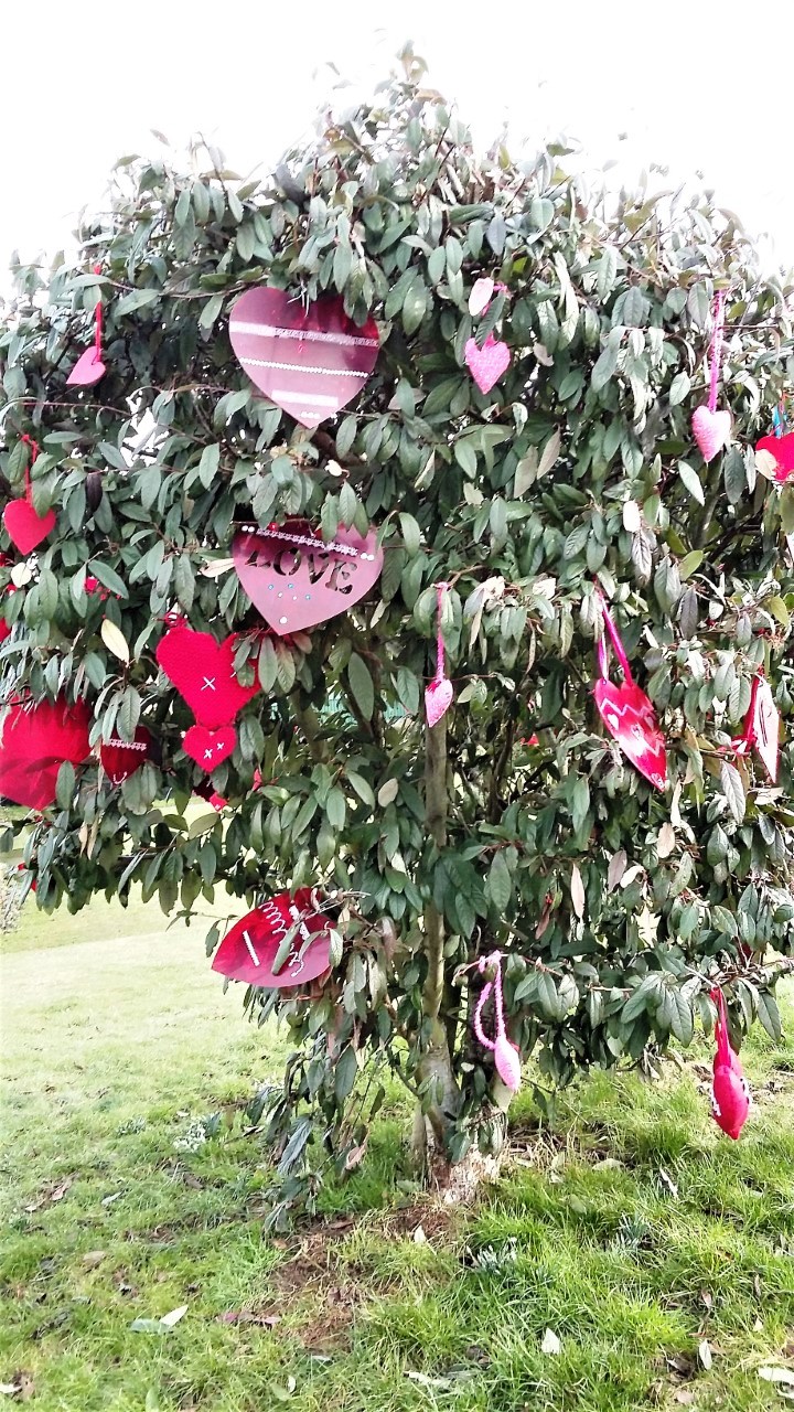 Red Hearts for Valentine's Day