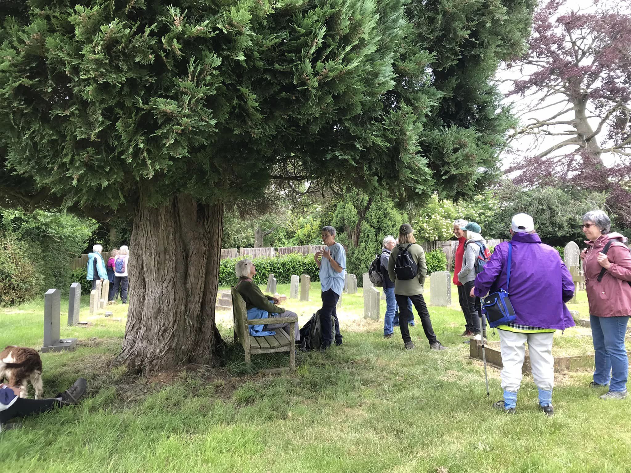 24.06 taking a break in churchyard