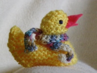 One of the Chick knitted for the Bosom Buddies fund raising event