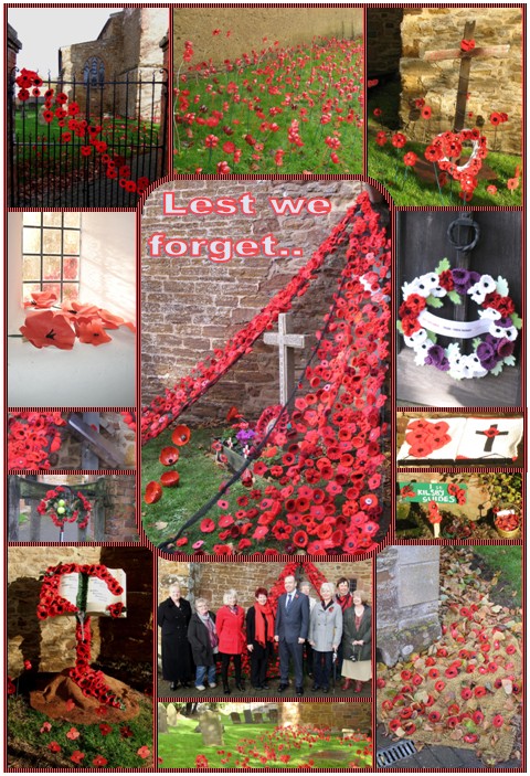 Remembrance day poppies