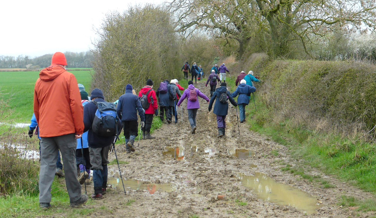 23.04 Muddy walk