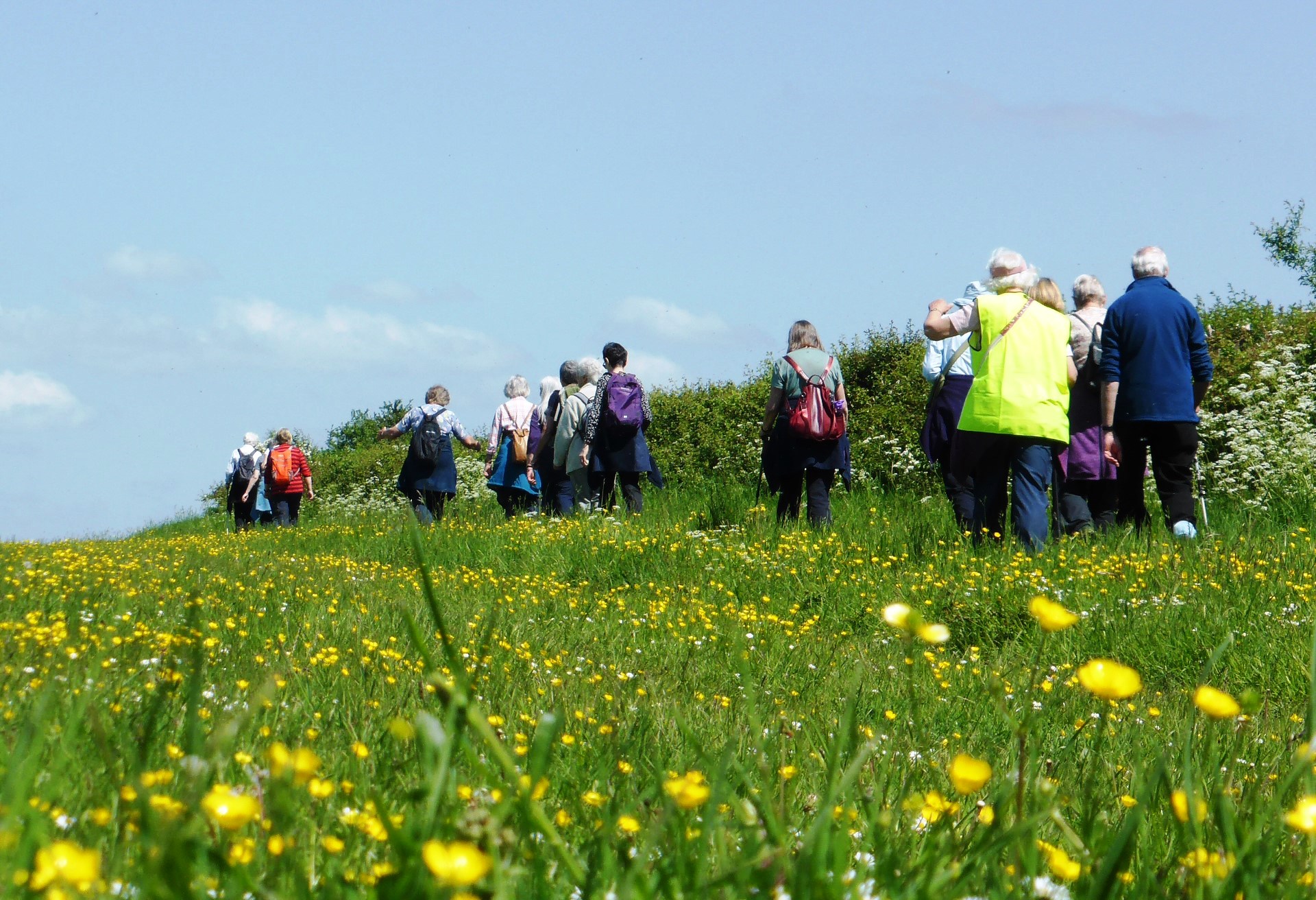 23.05 Kings Cliffe buttercups