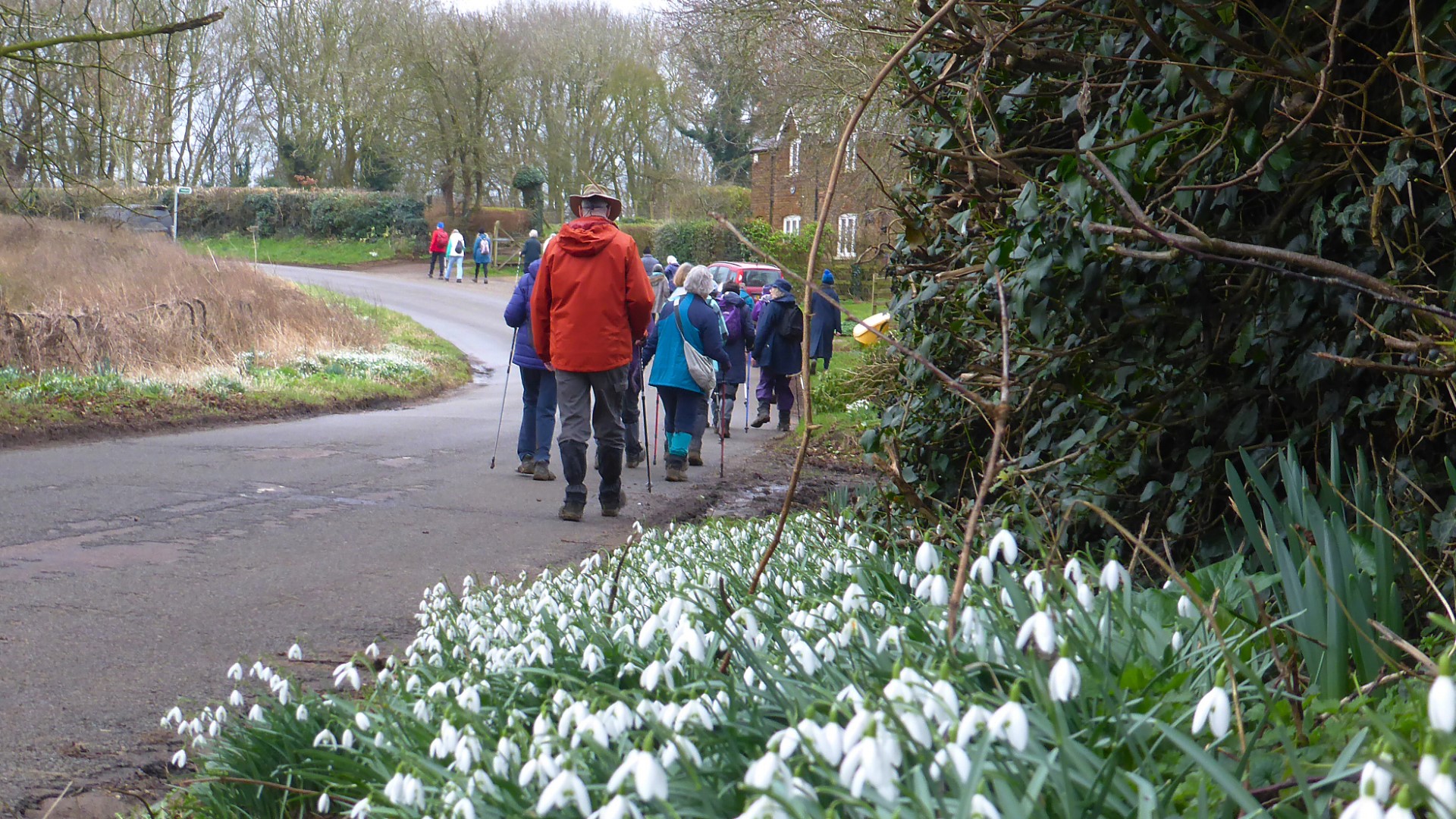 24.02 Snowdrops and group of walkers