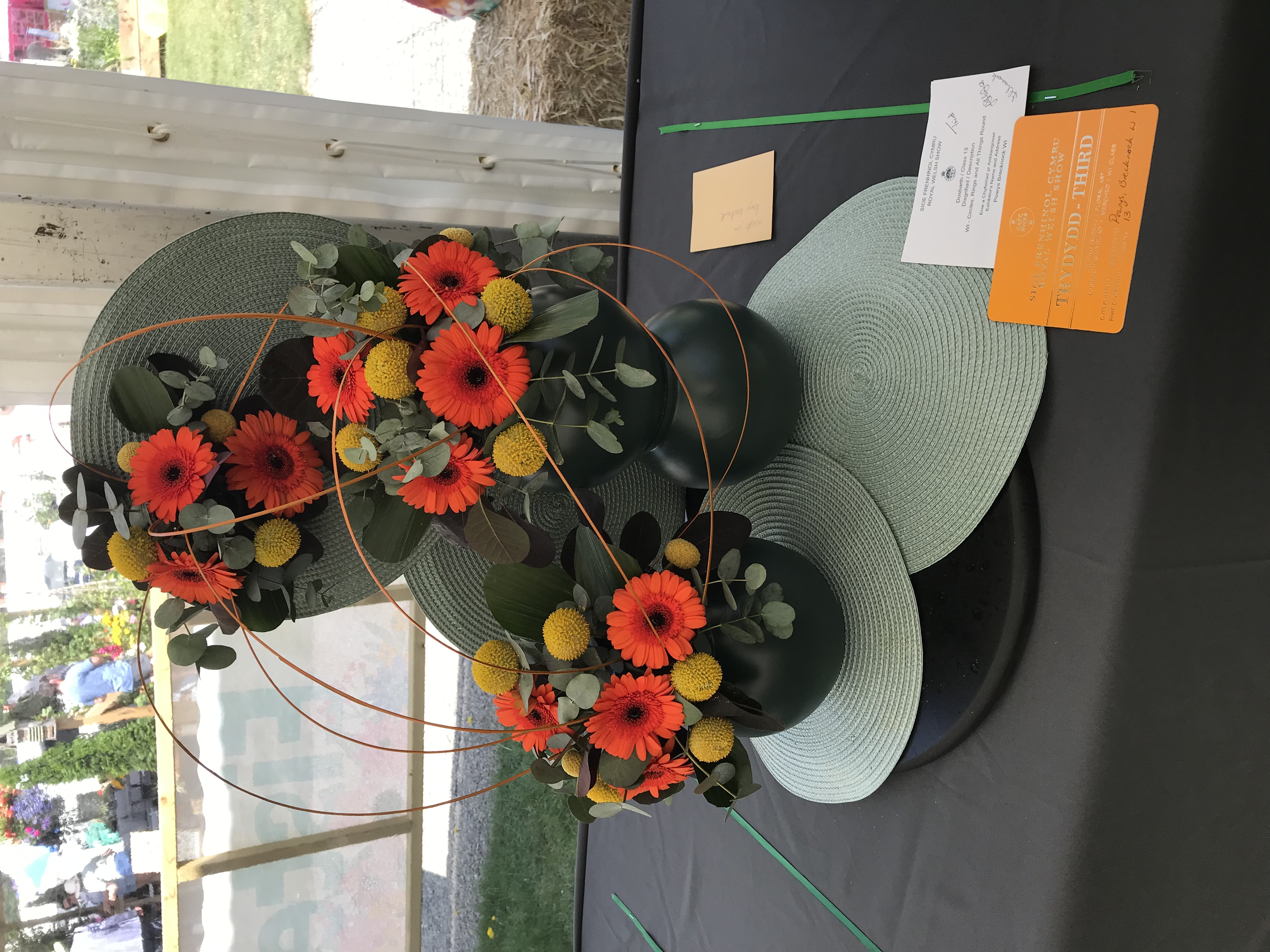 3rd place Brecon Cup - Powys Brecknock