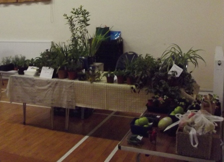 Plant Stall