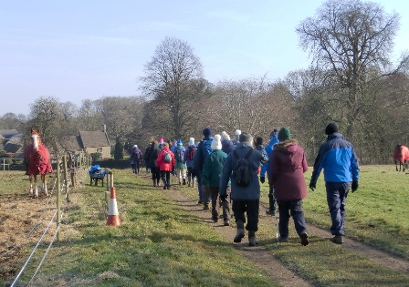 Horses watching WI members family and friends walking near Cranford