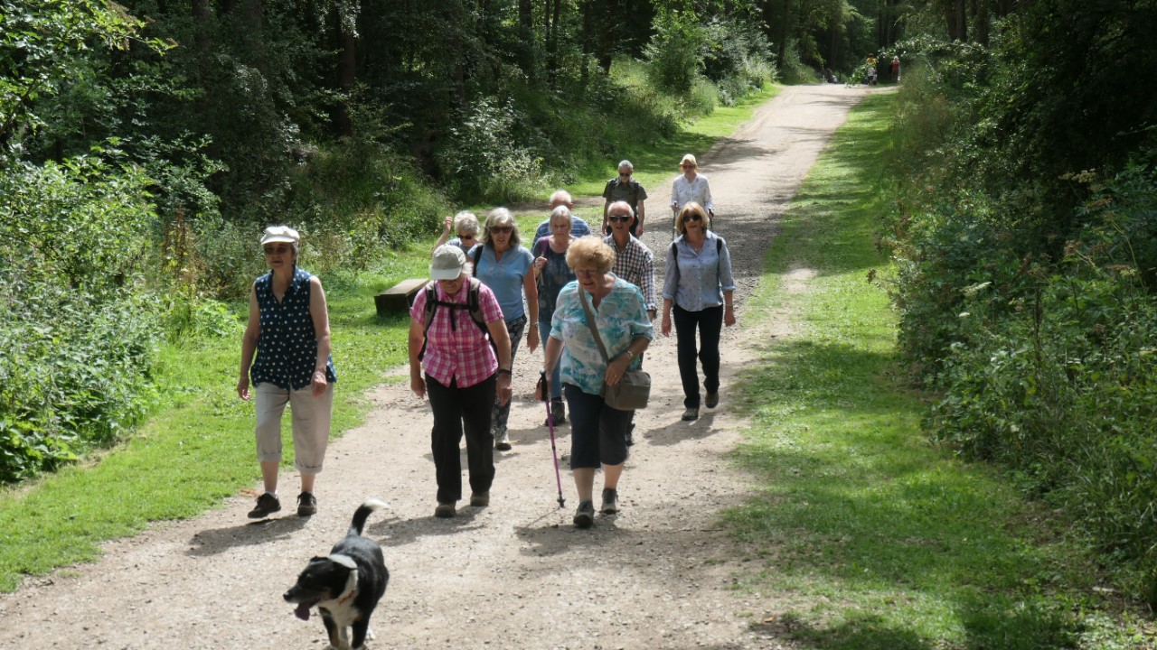 Enjoying the walk