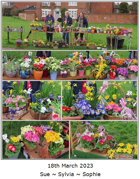 Mother's Day Stall