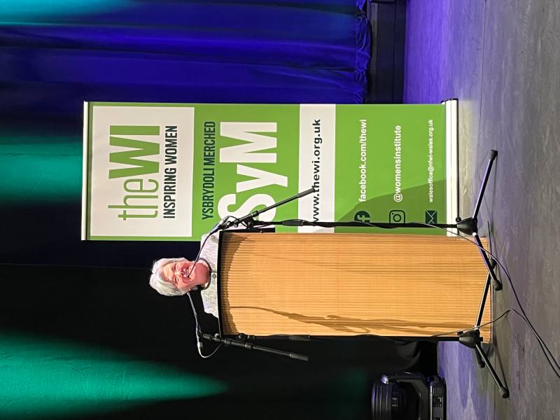 Pam Beedan Wales Conference