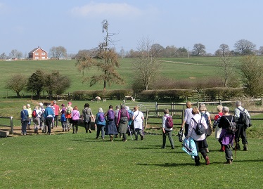 2019 March walk near Welford