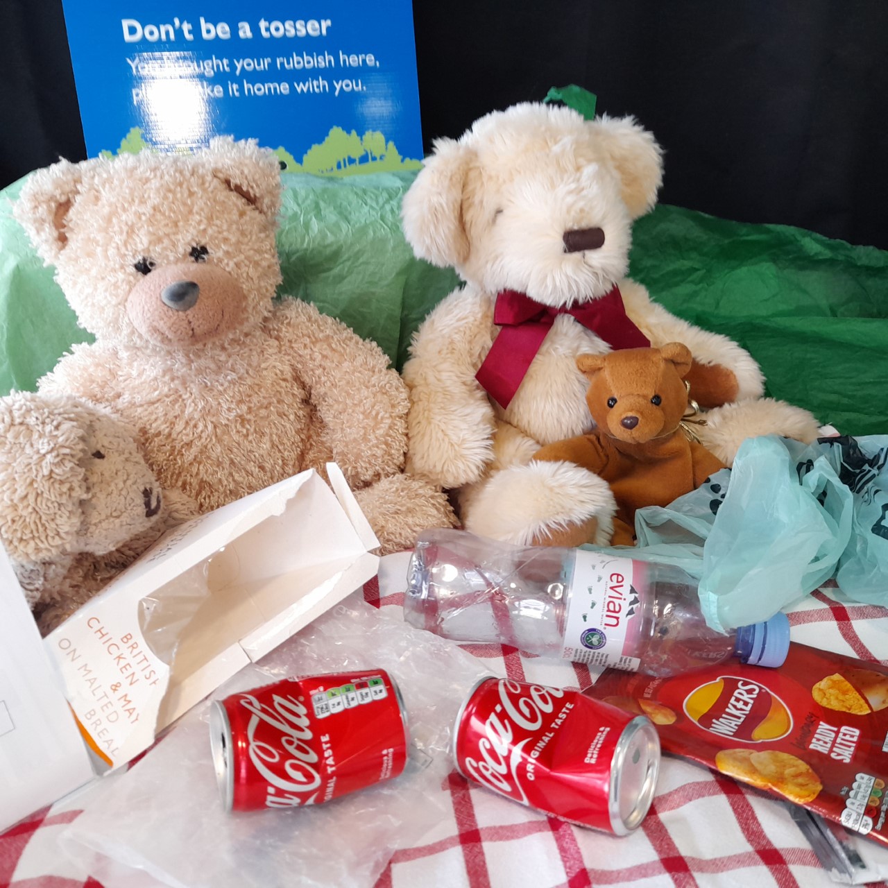 The Bad Teddy Bear's picnic