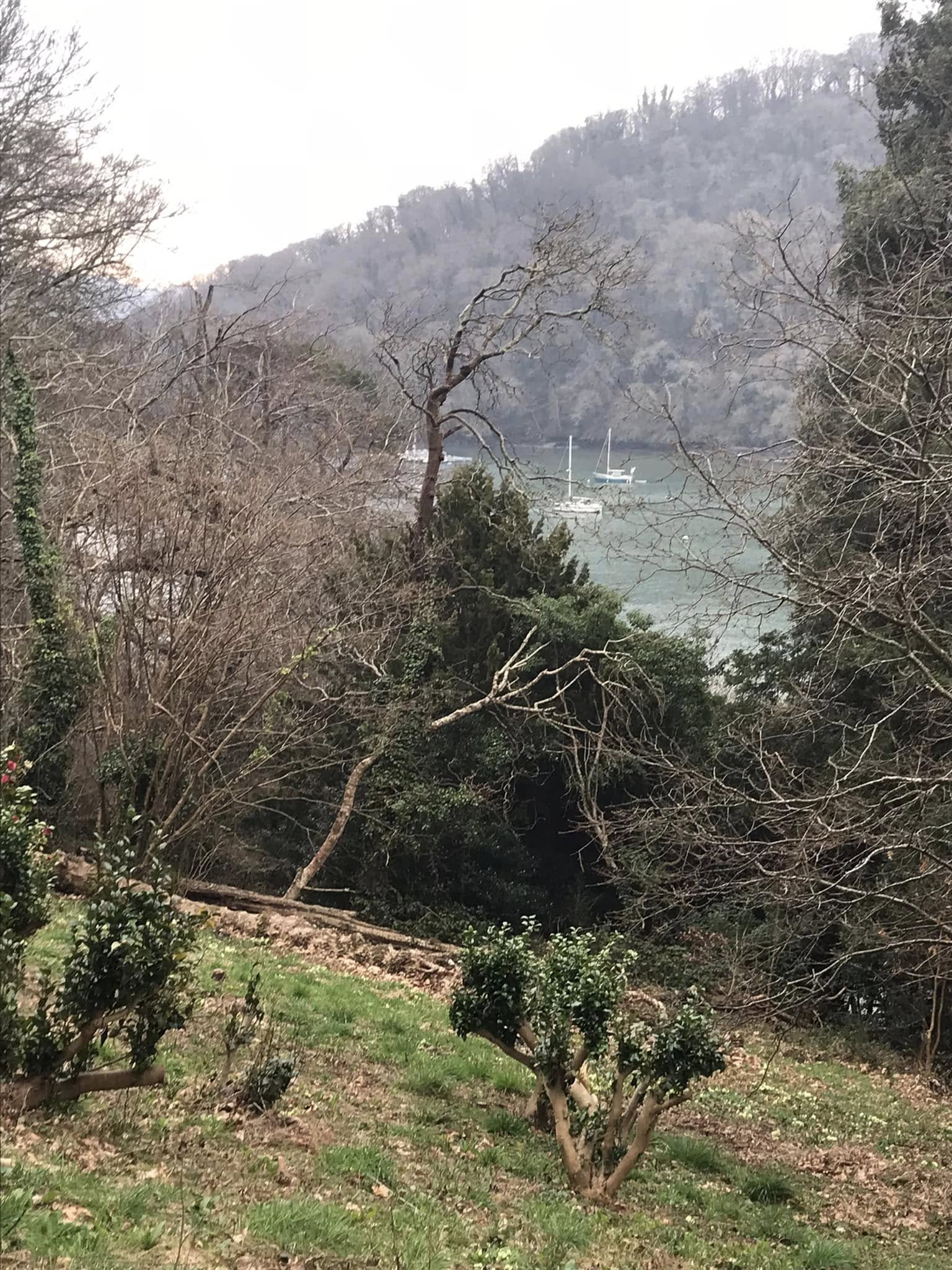 View of River Dart from Greenways