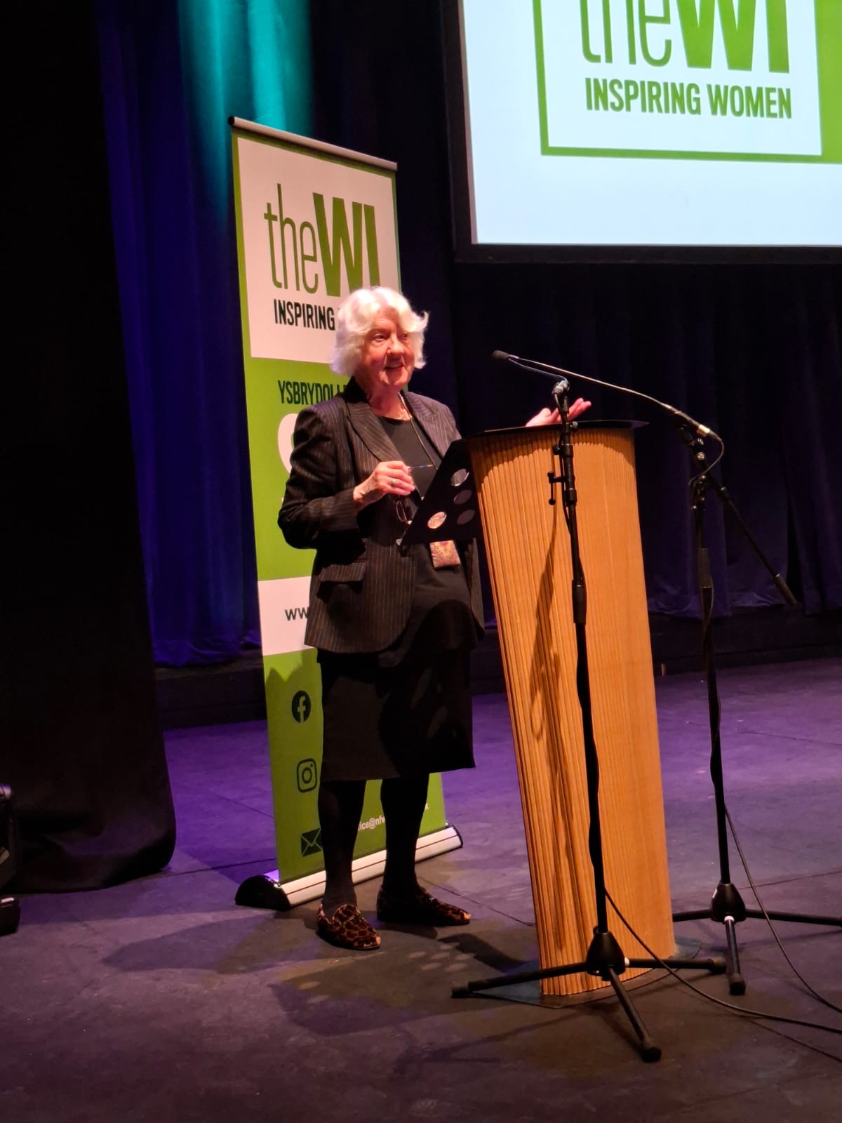 Professor Dame Elan Closs Stephens