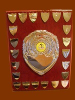 AFWI Quiz Shield