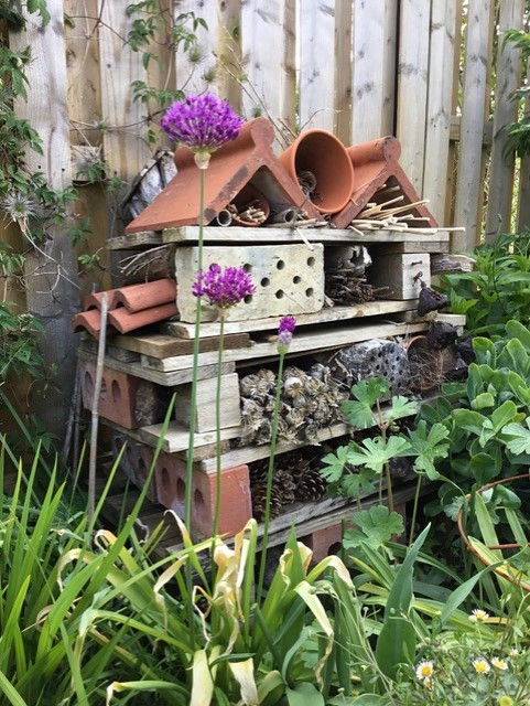 Bug Hotel