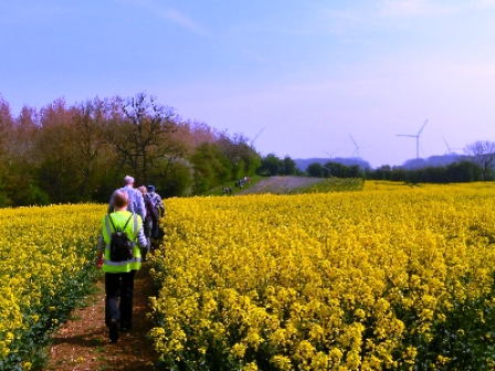 Sherington walk