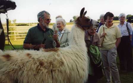 Llamas at Tyringham (2003)