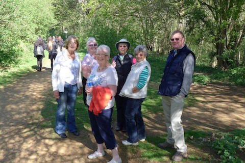 Bluebell Walk