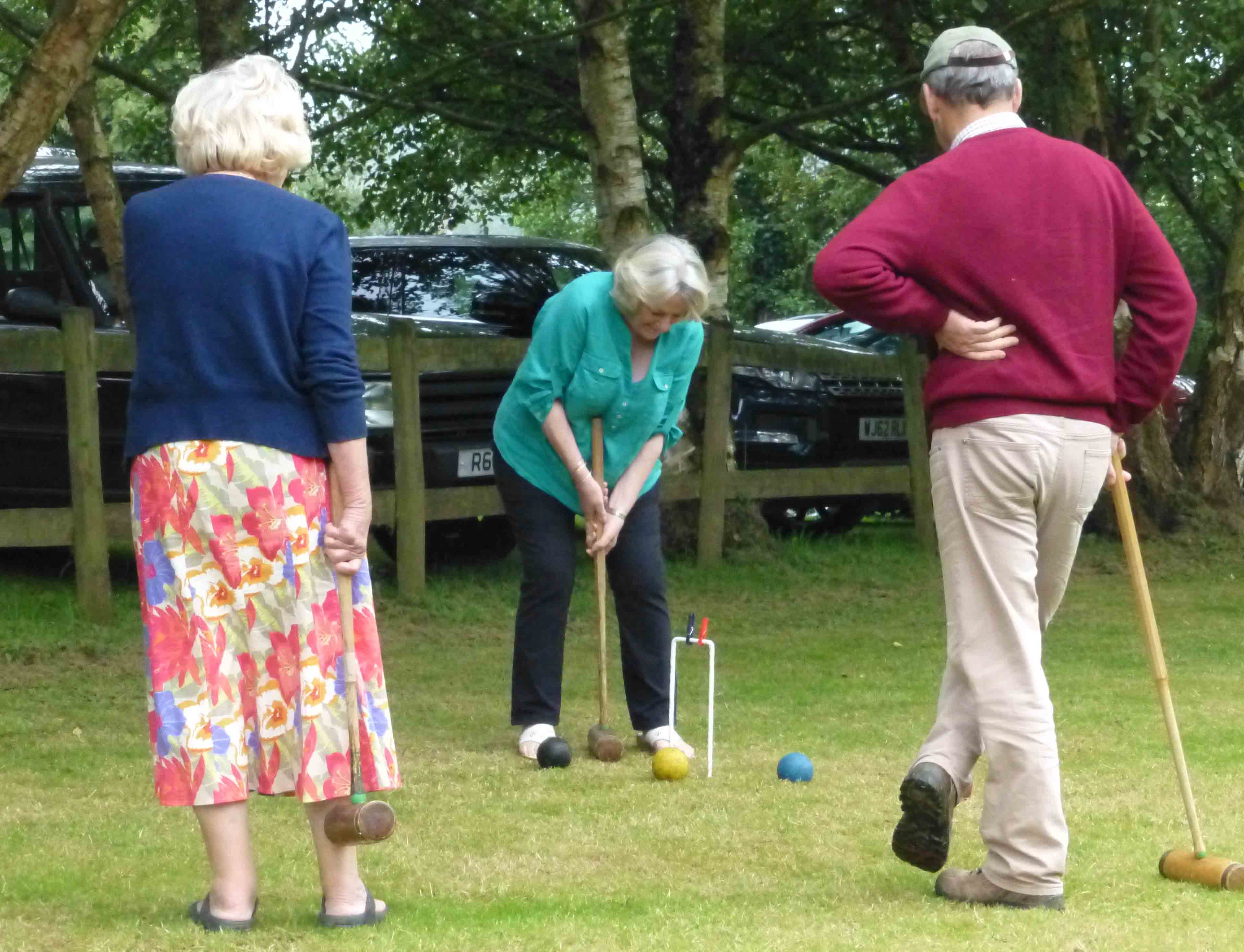 2014-09-03 Croquet 2.jpg