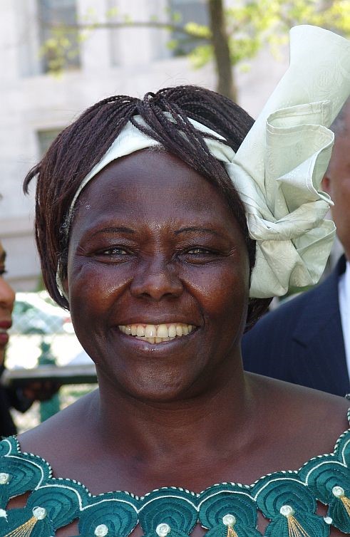 Picture of Wangari Maathai