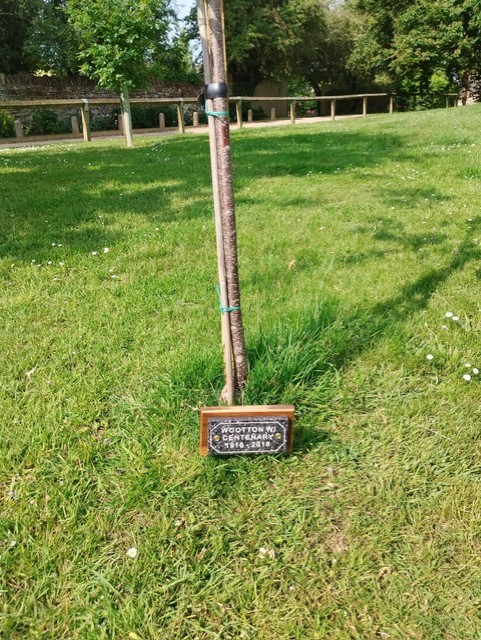 Replacement plaque